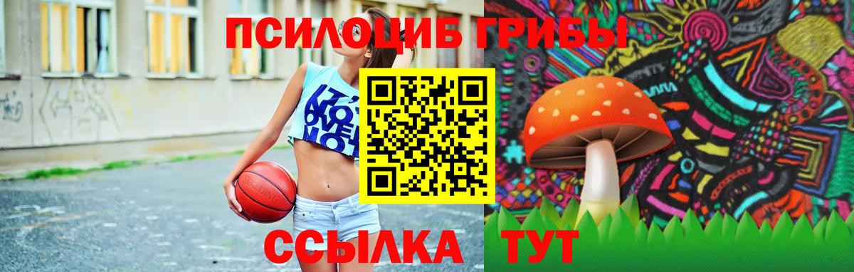 Псилоцибиновые грибы Magic Shrooms Углич