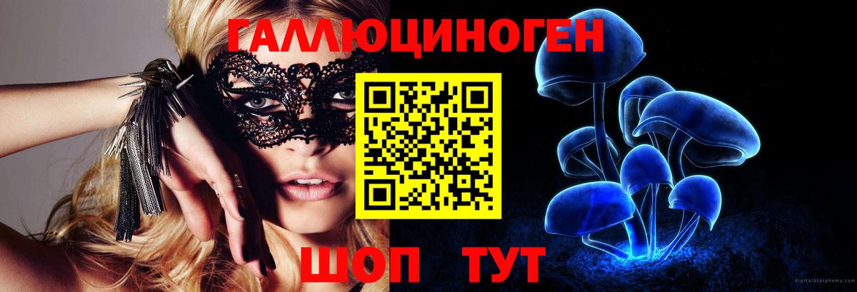 Галлюциногенные грибы прущие грибы  Вход с VPN  Углич 